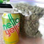 Mello Yellow weed